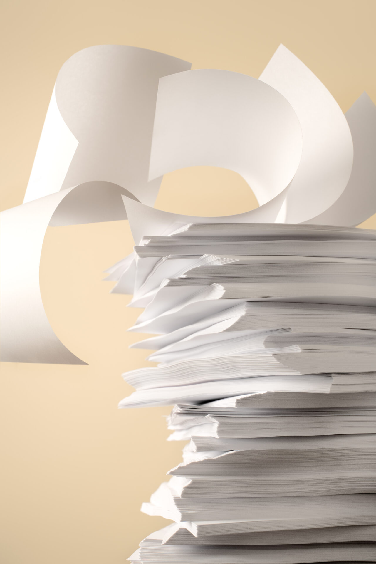 Pulp & Paper Industry